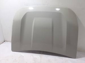   Hood  - 651003715R 