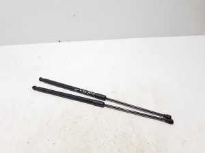   Hood prop/gas strut  - 654702017R 