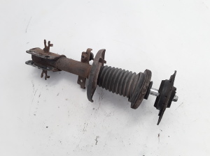 RENAULT Laguna III (2007–2015) Eesmine amortisaator 543025668R - 4