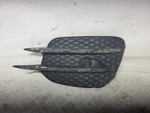 Front bumper lower grille - A4478851300