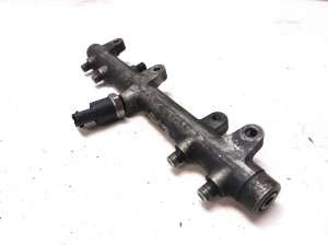 RENAULT Mascott (1999–2010) Common Rail Kraftstoffleitung 0445224009 - 3