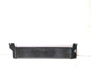 LEXUS RX AGL2 (2015–2022) Dzesēšanas radiators - 3