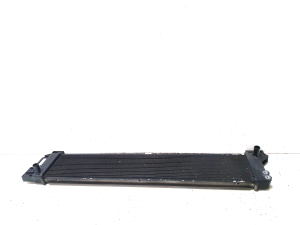 LEXUS RX AGL2 (2015–2022) Dzesēšanas radiators - 4