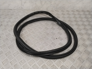   Rear side door seal on the door  - 31662570 