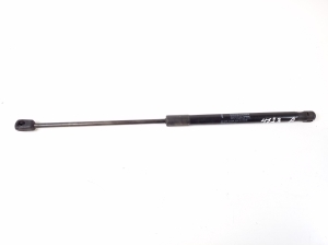   Hood prop/gas strut  - GX7316C826AB 