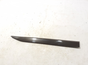   Zierleiste Tür vorne  - 3V0854940E 