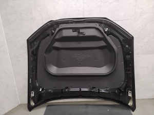 Ford Mustang Mach-E Mach-E (2020–2026) Motorhaube - 4