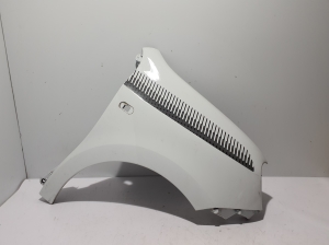Vorderer Kotflügel - 631002849R