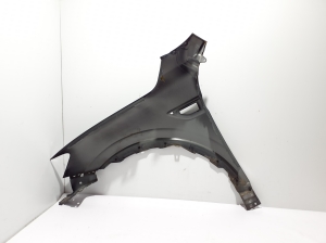 RENAULT Arkana (2019–2026) Front fender 631005451R - 2