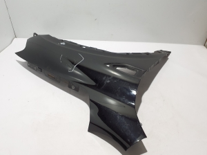 RENAULT Arkana (2019–2026) Front fender 631005451R - 4