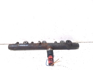 Peugeot 307 I (2000–2009) Common Rail Kraftstoffleitung 0445214019 - 2