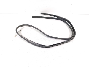 Ligier JS 50 I (2013–2026) Trunk seal (on body) - 2