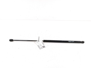 Ligier JS 50 I (2013–2026) Trunk lid strut 38076548 - 3