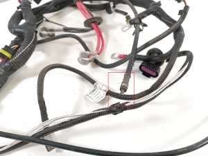 Ligier JS 50 I (2013–2026) Engine wiring harness 1411188 - 2