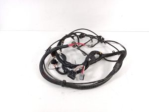 Ligier JS 50 I (2013–2026) Engine wiring harness 1411188 - 4