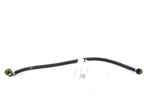  Hose  -  