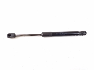   Trunk lid strut  - A1717500036 