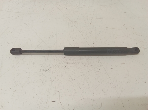 Trunk lid strut - 109156000B