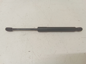 Tesla Model 3 3 (2016–2024) Trunk lid strut 109156000B - 2
