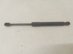 Trunk lid strut - 109156000B