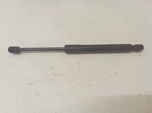 Tesla Model 3 3 (2016–2024) Trunk lid strut 109156000B - 3