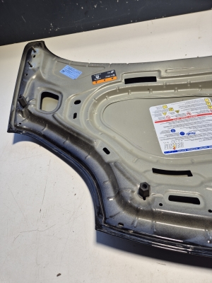 FIAT Panda (2012–2026) Hood - 2
