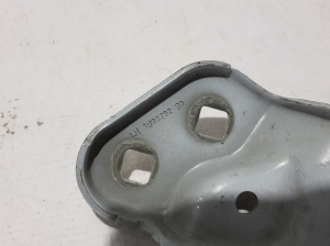 Tesla Model 3 3 (2016–2024) Kapoti hing 109879200 - 2