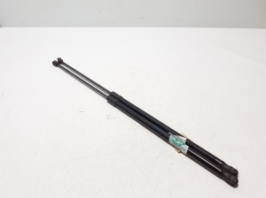 Hood prop/gas strut - 4M8823359
