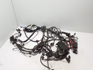 RENAULT Scenic (2016–2026) Kabelbaum 403885620R - 5