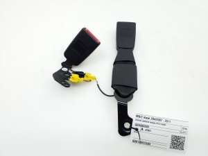   Rear seat belt buckle  - A2048602669 