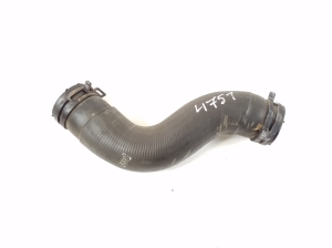   Hose  - A6512031782 