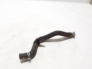 Dacia Sandero III (2021–2026) Jahutusradiaatori voolik 924000765R - 2