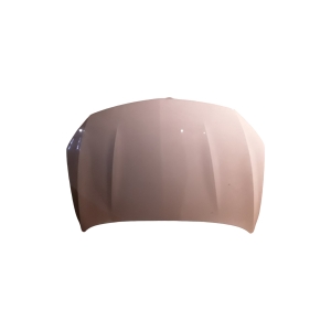 Motorhaube - 