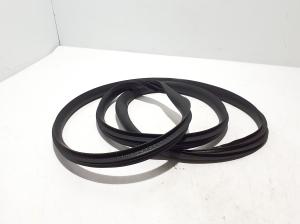 RENAULT Scenic E-Tech I (2024–2026) Front door rubber seal 769222423R - 2