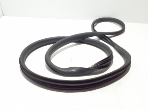 RENAULT Scenic E-Tech I (2024–2026) Front door rubber seal 769222423R - 3
