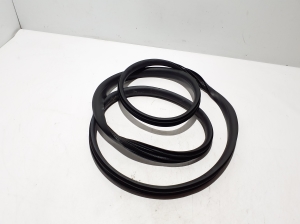   Rear side door seal on the door  - 769236427R 