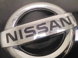 NISSAN Leaf II (2017–2026) Front grille 620725SK0D - 3