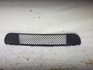 Front bumper lower grille - 51112496285
