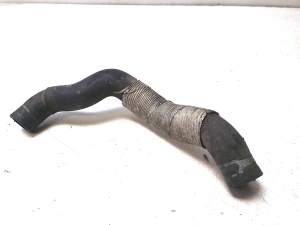Radiator hose - 3C0121157