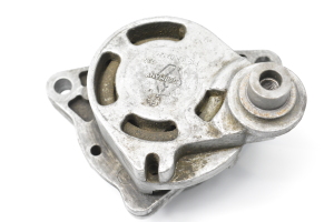 RENAULT Espace IV (2002–2014) Belt tensioner 0802410121 - 3