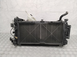 Radiaatorite komplekt ja selle osad - 214813NL1B