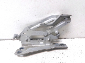 Hood hinge - A2048800328