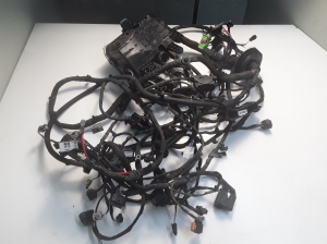 Engine wiring harness - 10719856
