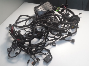 MG, MG 5 I (2020–2026) Engine wiring harness 10719856 - 2