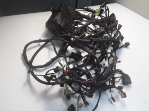 MG, MG 5 I (2020–2026) Engine wiring harness 10719856 - 3