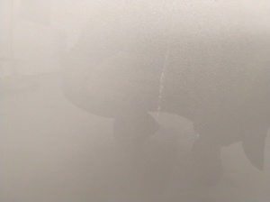 NISSAN Leaf II (2017–2026) Front door - 5