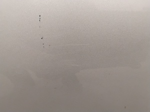NISSAN Leaf II (2017–2026) Front door - 6