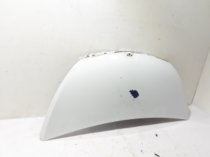 RENAULT Trafic III (2014–2022) Hood 651001855R - 3