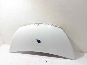   Motorhaube  - 651001855R 