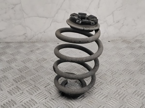 NISSAN Leaf II (2017–2026) Rear spring - 2